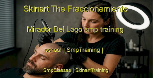 Skinart The Fraccionamiento Mirador Del Lago smp training school | SmpTraining | SmpClasses | SkinartTraining-Mexico
